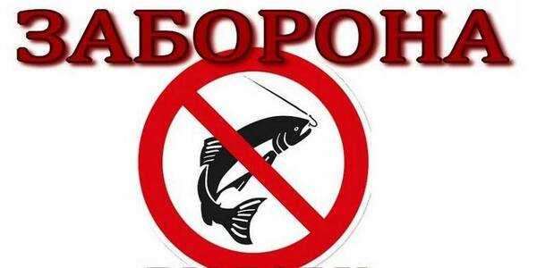 З 1 листопада на Київщині заборонено вилов риби в зимувальних ямах