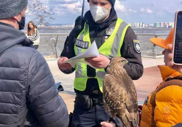 Спасли пернатых: активисты и полиция задержали фотографов с птицами