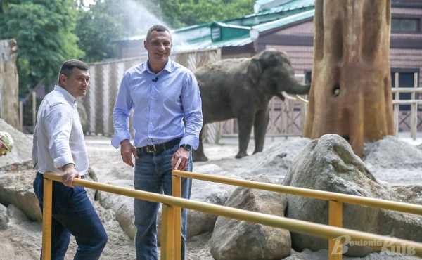 Подарунок для слона: у Київському зоопарку встановили «Баобаб»