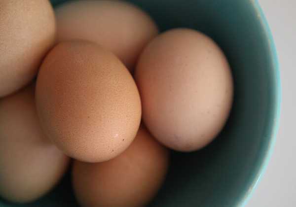 В Украине скоро подешевеют куриные яйца: когда и насколько