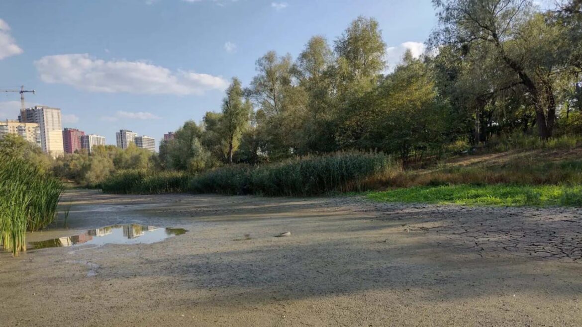Кожне третє озеро в Києві частково забудовано, – екологи