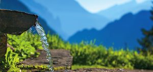 Мінеральні води Закарпаття: оазис здоров'я та природної чистоти