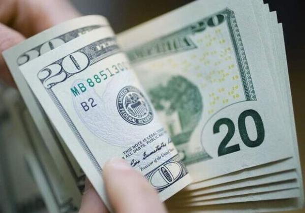 Курс валют в Україні 31 січня 2023 року: скільки коштує долар і євро