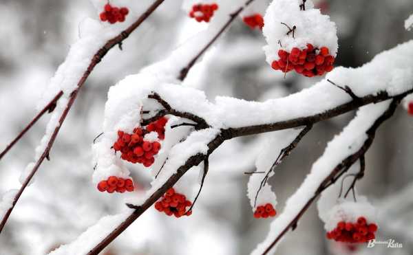 Прогноз погоди на вихідні 4–5 лютого: в Україні трохи похолодає