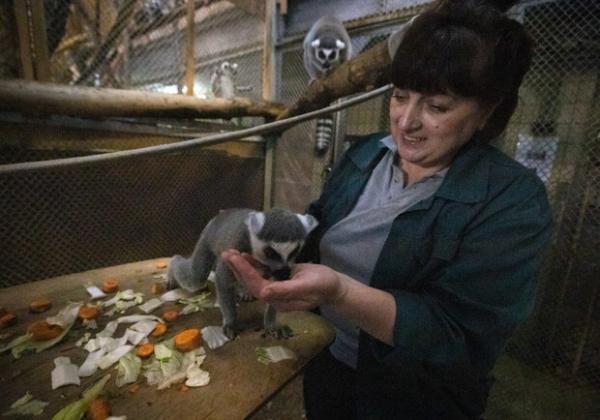 За 2022 рік у зоопарку Києва народилося 300 тварин