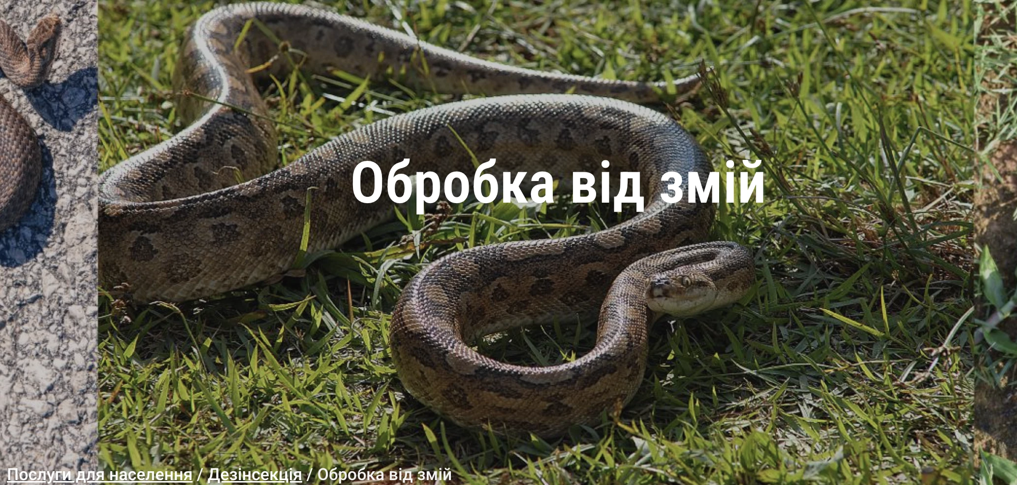 65c104bb4f800.webp