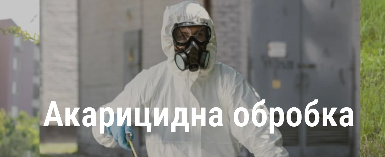 65c104ccab136.webp