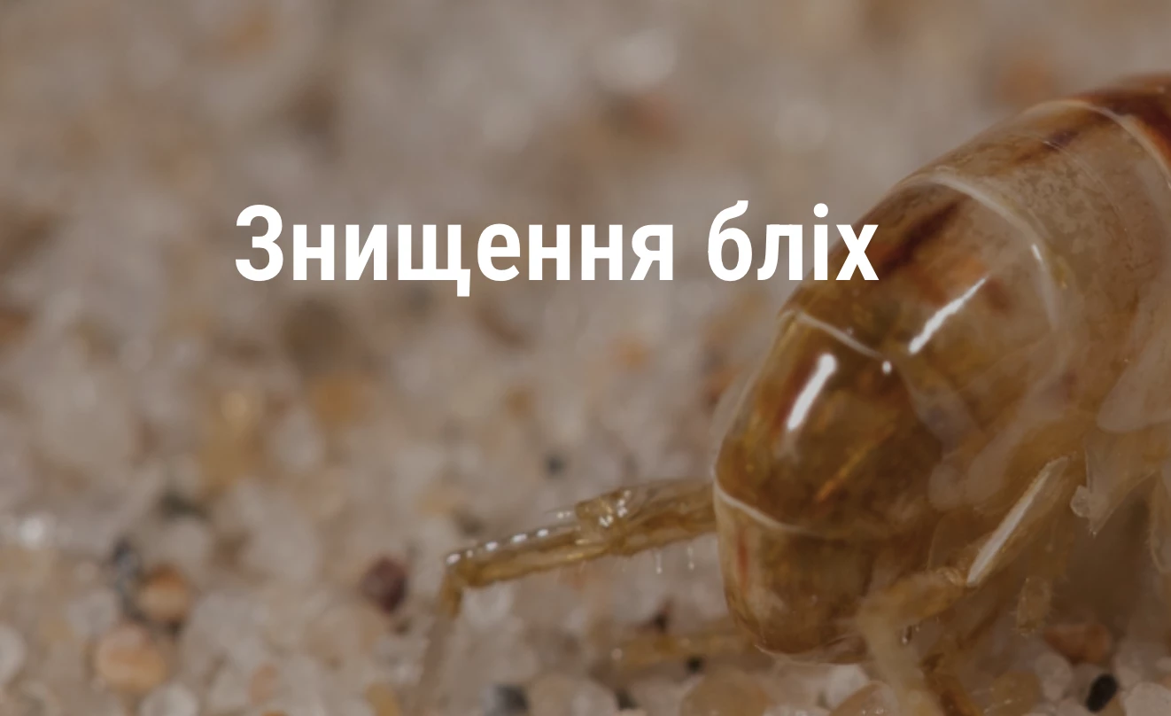 65c104f2e1275.webp