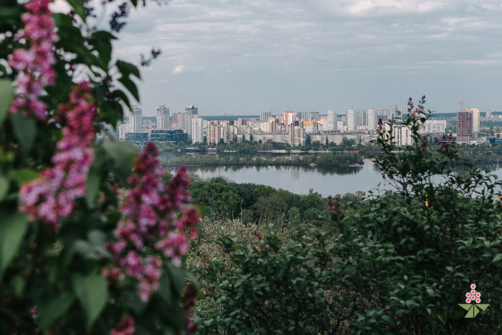 Весни Київ бузок