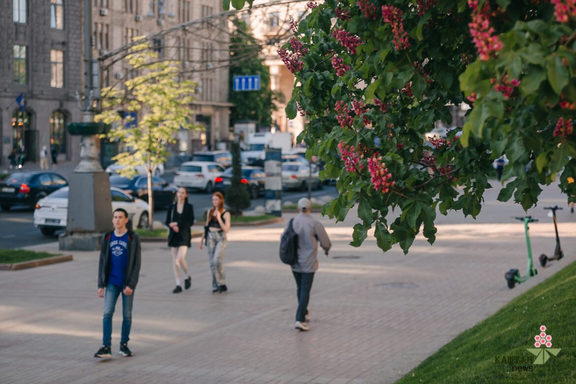 В українській столиці очікується прохолодна, вітряна, але суха погода.
