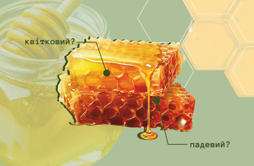 Серпневий мед: як обрати, де купувати та як відрізнити підробку