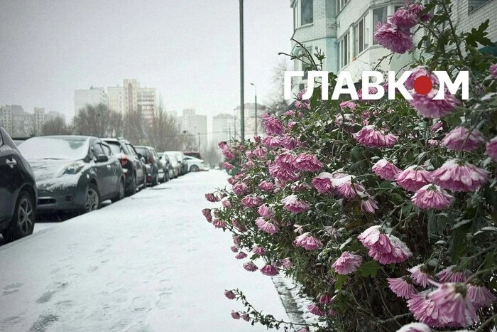 Зима запізнилася на місяць: яким був грудень у Києві