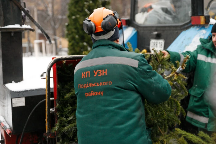 Друге життя ялинок: як у Києві працює система екологічної утилізації дерев