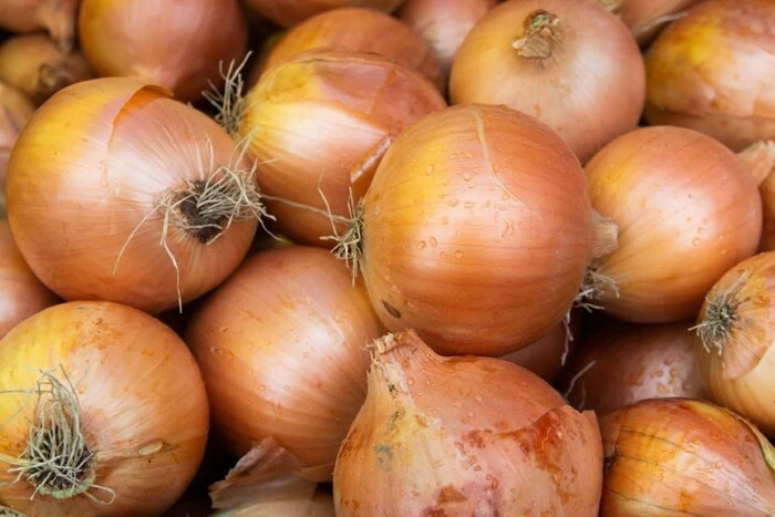 Де купити свіжі продукти у Києві: графік продуктових ярмарків на 7-8 лютого