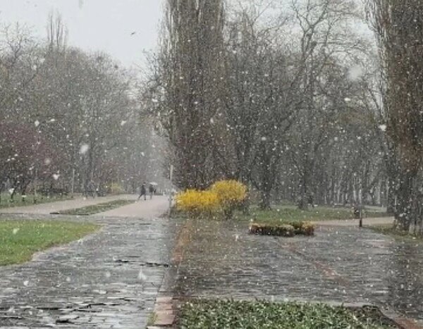 Нетиповий квітень: у Києві, Чернігові й Харкові снігопад (відео)