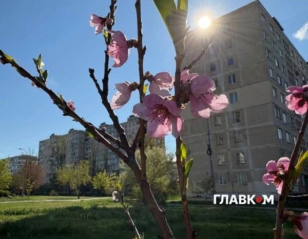 Київ: Жовтий рівень загрози через наближення приморозків.