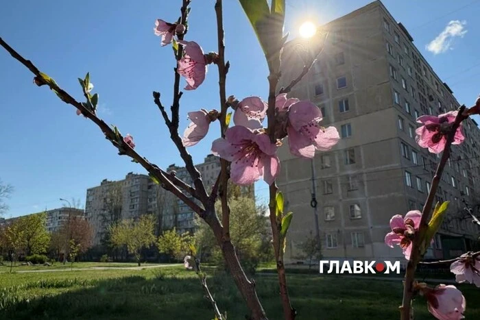 У Києві оголошено жовтий рівень небезпеки: на місто насуваються заморозки