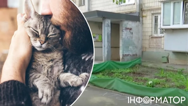 Двірник з котом, під'їзд в Києві, де почалася стрілянина