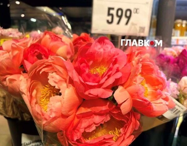 Цвітіння півоній у столиці: вартість букета та актуальні сорти