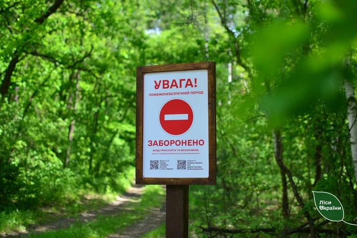 Спека та пожежна небезпека у Києві: влада нагадала жителям про суворі заборони