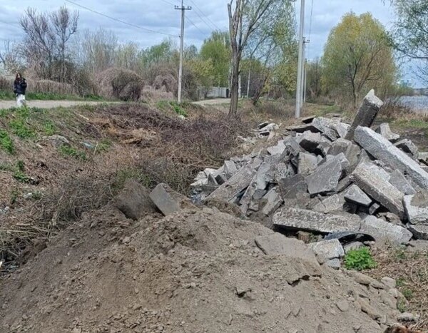 В київському заказнику “Озеро Заплавне” зафіксовано масштабне пошкодження дерев (світлини).
