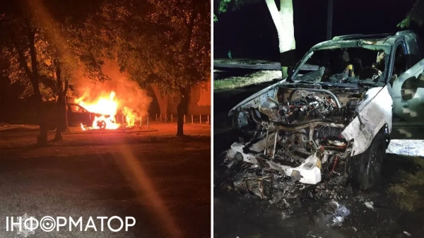 Палія автомобілей було затримано