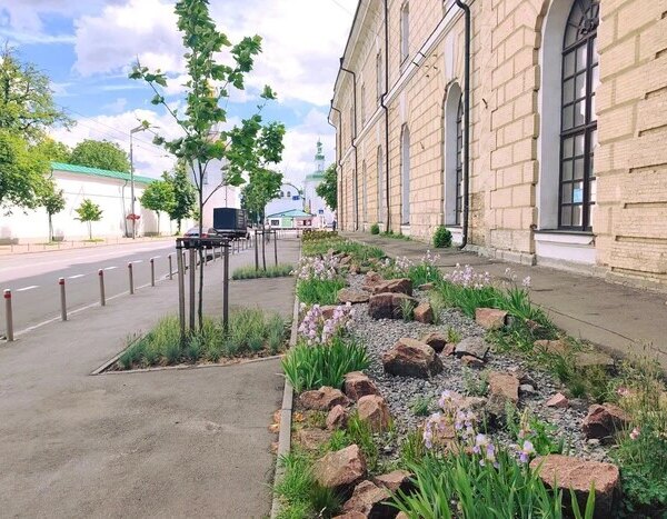 Дощовий сад біля Мистецького Арсеналу в Києві: як це працює