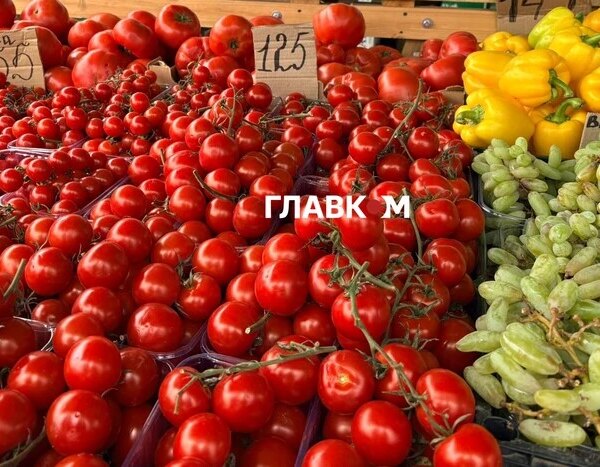У столиці 6-7 червня пройдуть продуктові ярмарки (місця проведення)