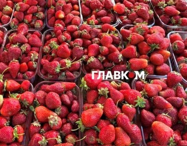 У столиці на вихідних 20-21 травня пройдуть продуктові ярмарки (список адрес)