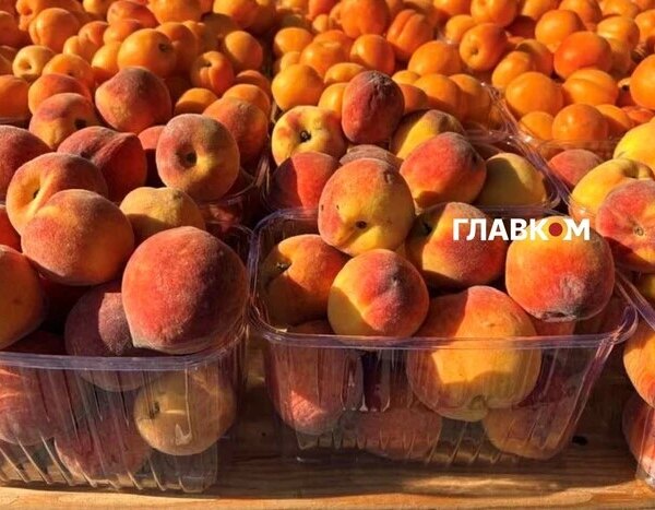 Продовольчі ярмарки у столиці 27-28 червня (місця проведення)