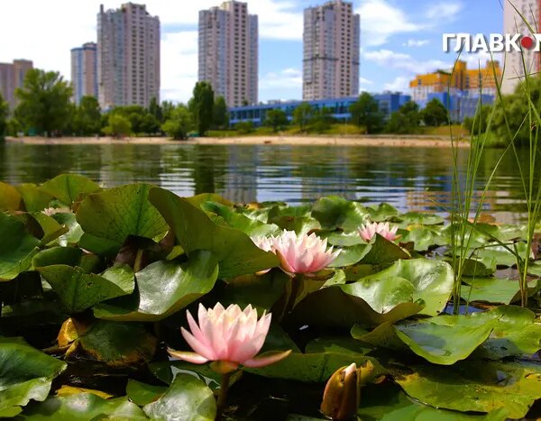 Фоторепортаж: Озеро Тельбін у Києві – чудове місце для літнього дозвілля