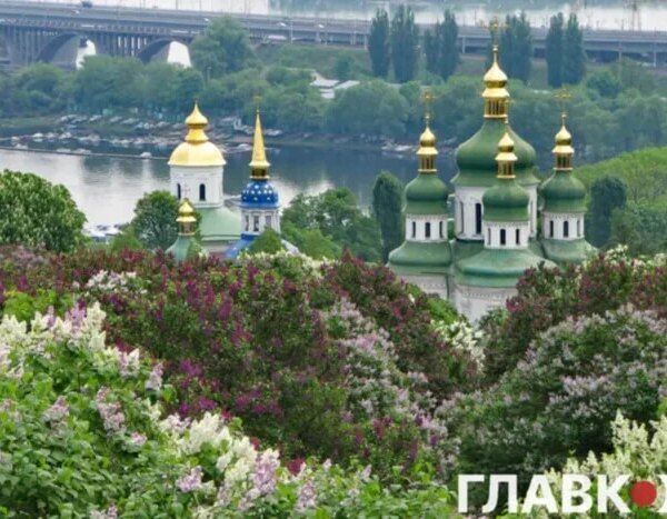 Генпрокуратура погодилася з аудиторами щодо загроз забудови ботсаду Гришка