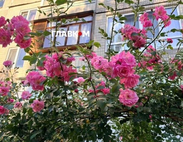 Спекотні температури та сильні дощі. Метеорологи поділилися інформацією про те, яким був червень у Києві.