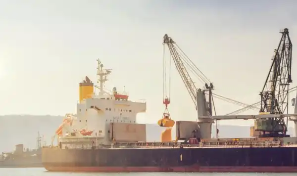 Український морський експорт зерна припинено завдяки Росії, повідомляють ЗМІ.