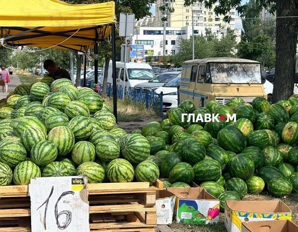 Сезон у розпалі: ціни на кавуни та дині на київському ринку